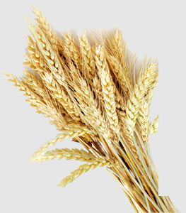 首页| PA视讯集团中国官方网站