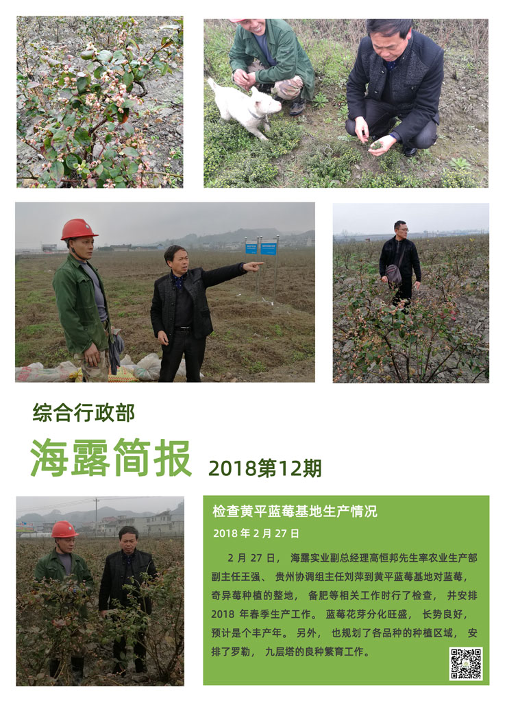 首页| PA视讯集团中国官方网站