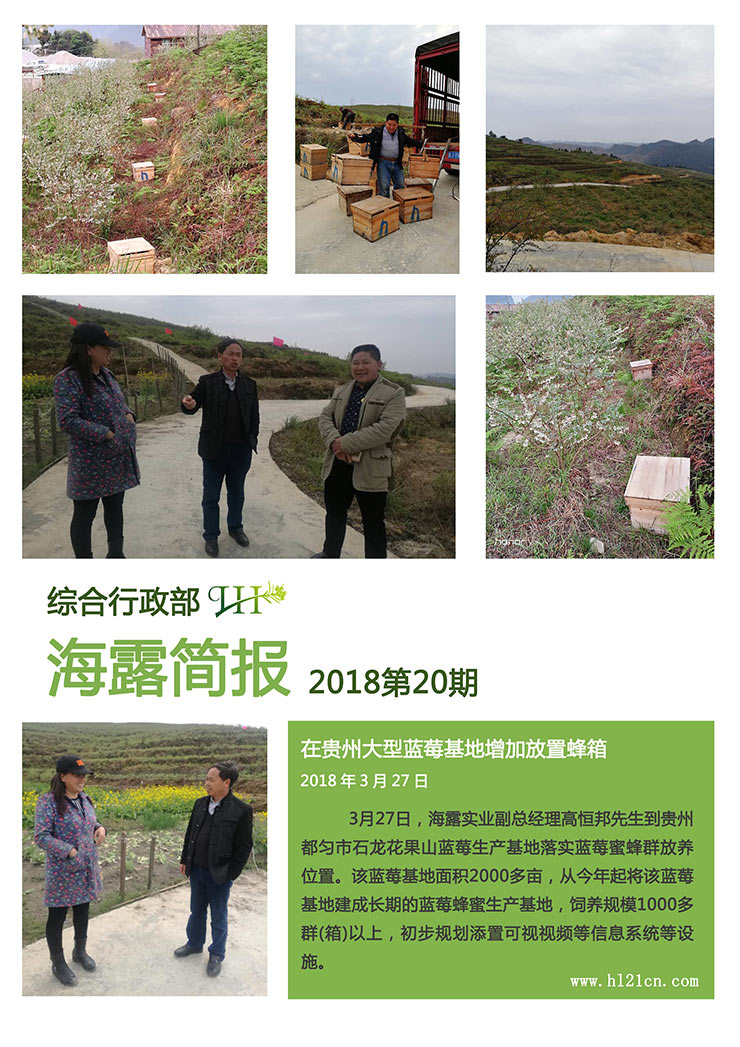 首页| PA视讯集团中国官方网站