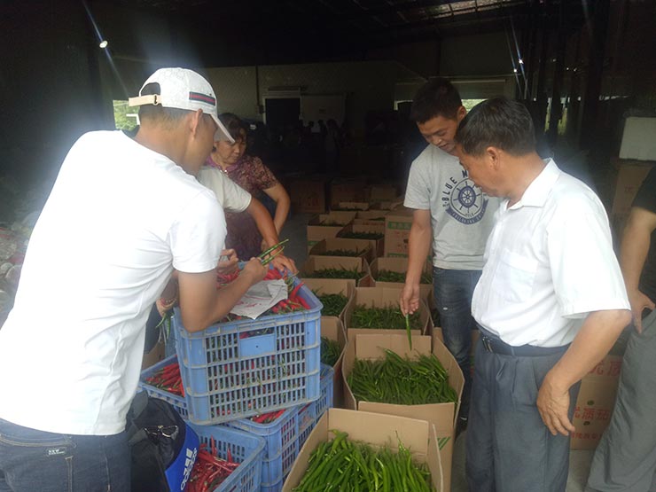 首页| PA视讯集团中国官方网站