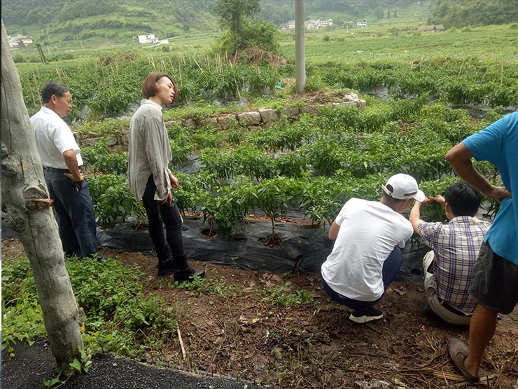 首页| PA视讯集团中国官方网站