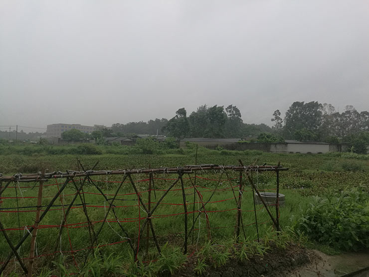 首页| PA视讯集团中国官方网站