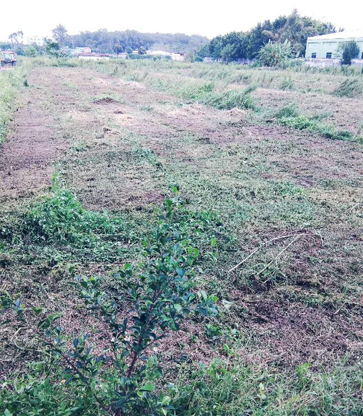 首页| PA视讯集团中国官方网站