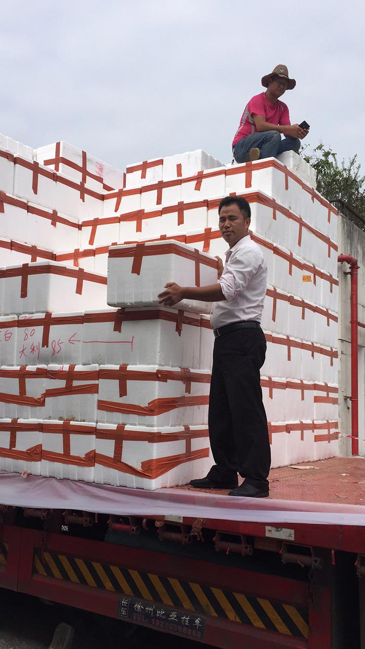 首页| PA视讯集团中国官方网站