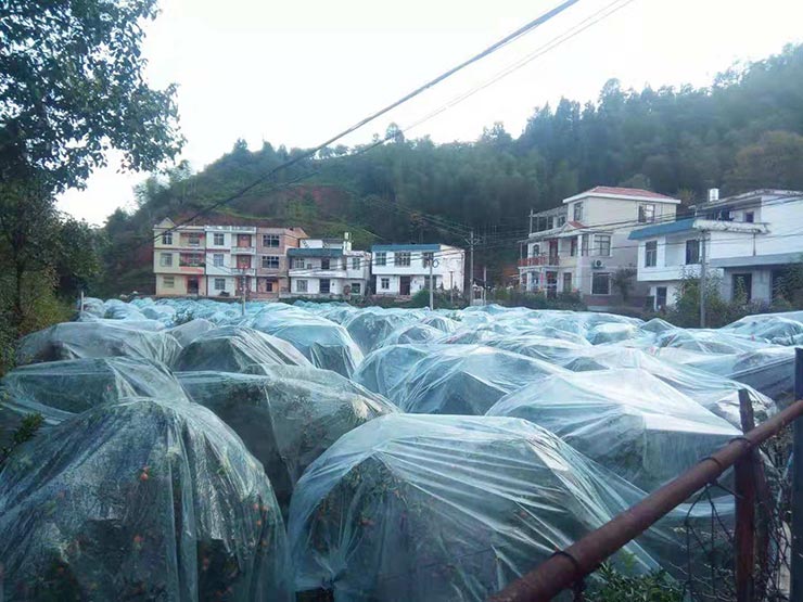 首页| PA视讯集团中国官方网站