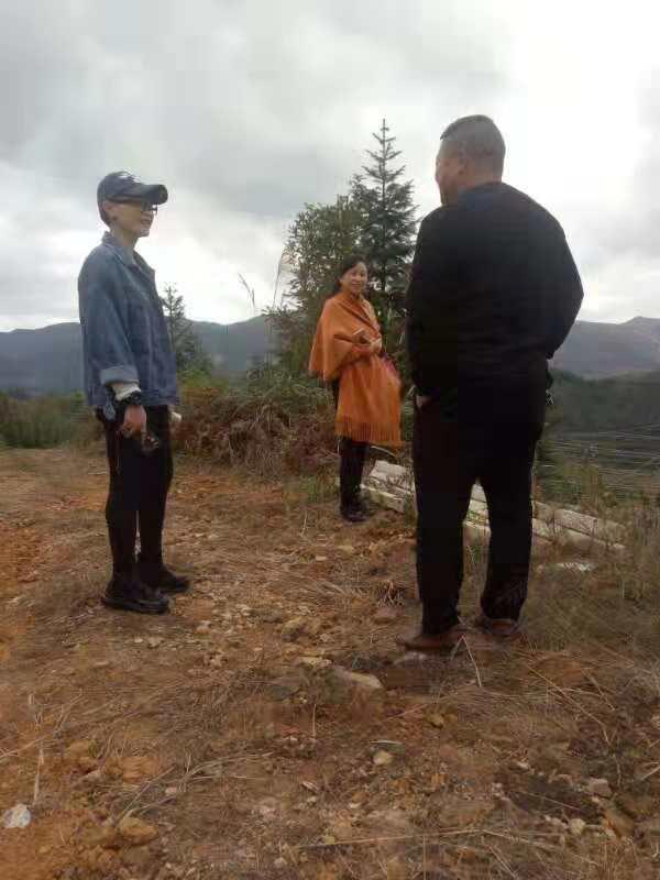 首页| PA视讯集团中国官方网站