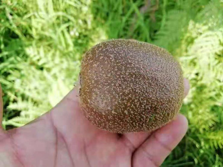 首页| PA视讯集团中国官方网站