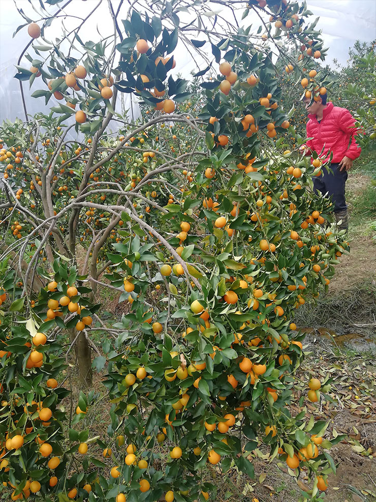 首页| PA视讯集团中国官方网站