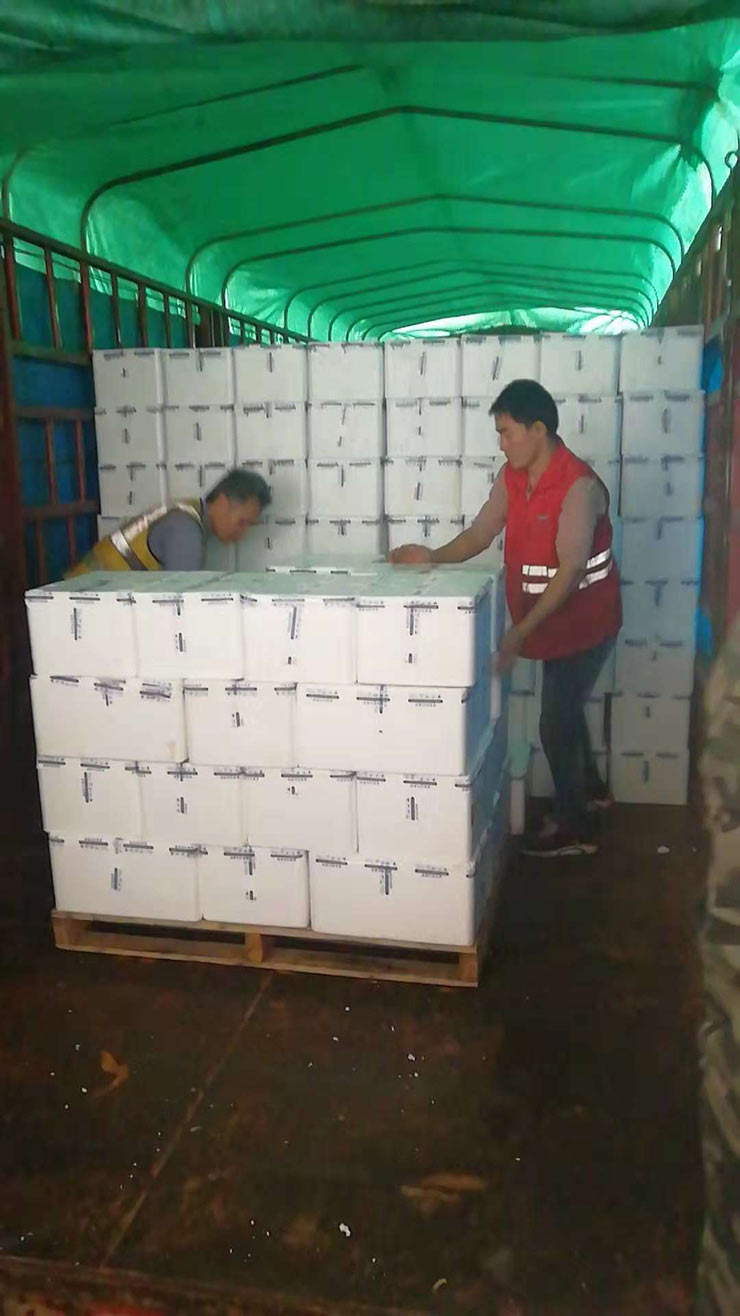 首页| PA视讯集团中国官方网站