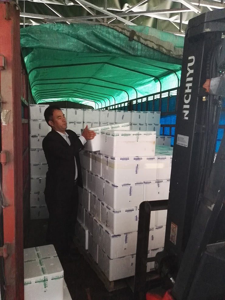 首页| PA视讯集团中国官方网站