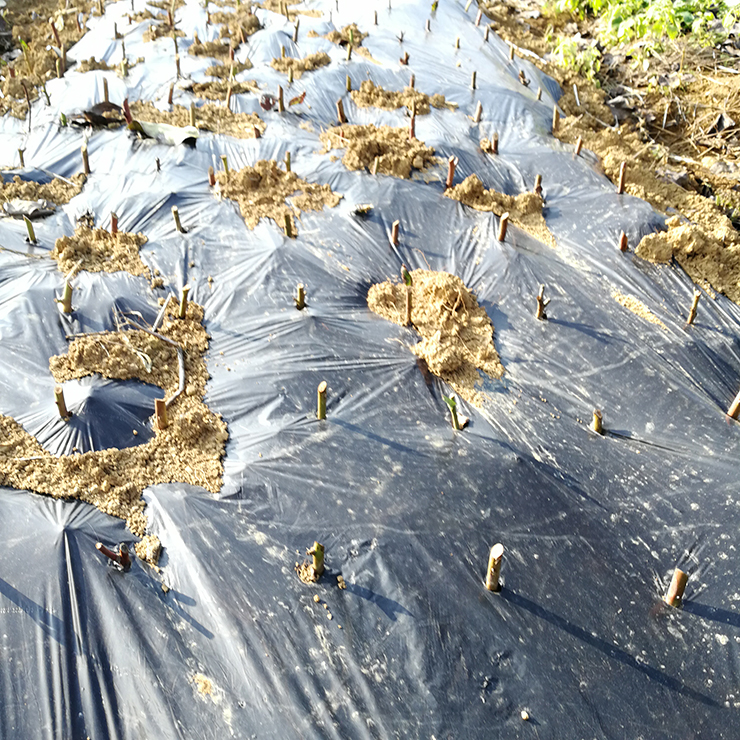 首页| PA视讯集团中国官方网站