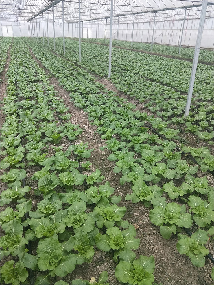 首页| PA视讯集团中国官方网站