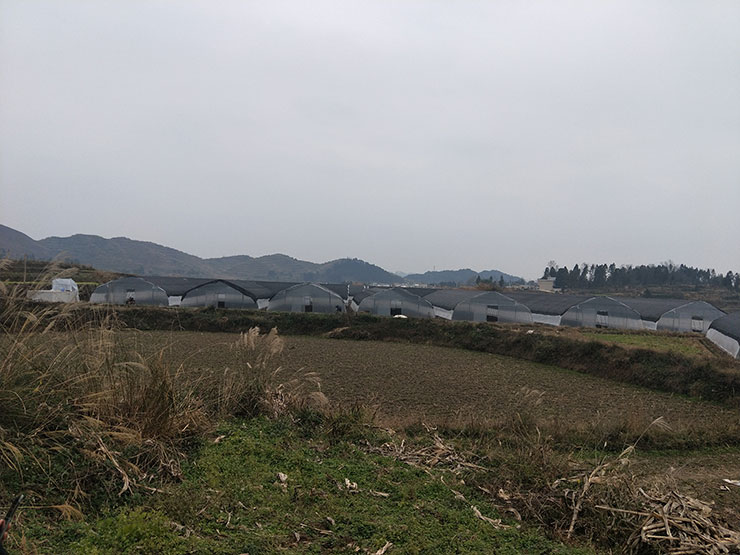 首页| PA视讯集团中国官方网站