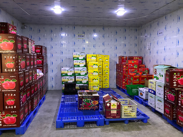 首页| PA视讯集团中国官方网站