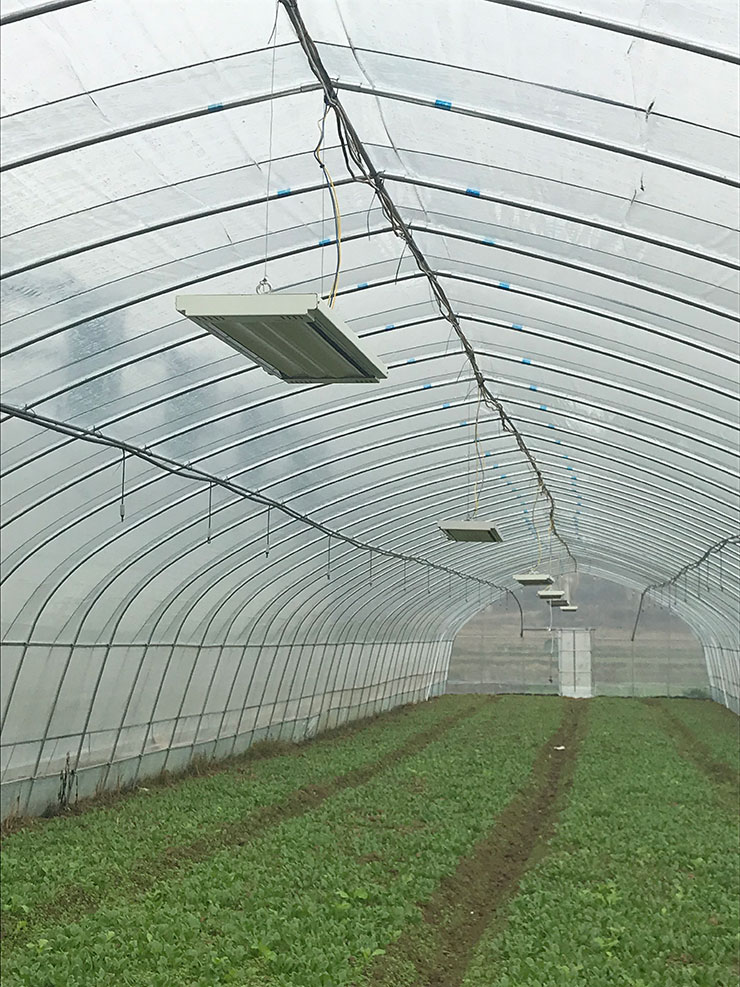 首页| PA视讯集团中国官方网站