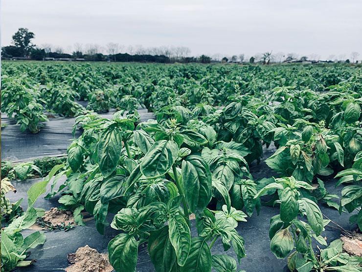 首页| PA视讯集团中国官方网站