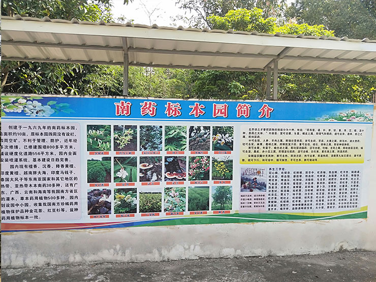 首页| PA视讯集团中国官方网站