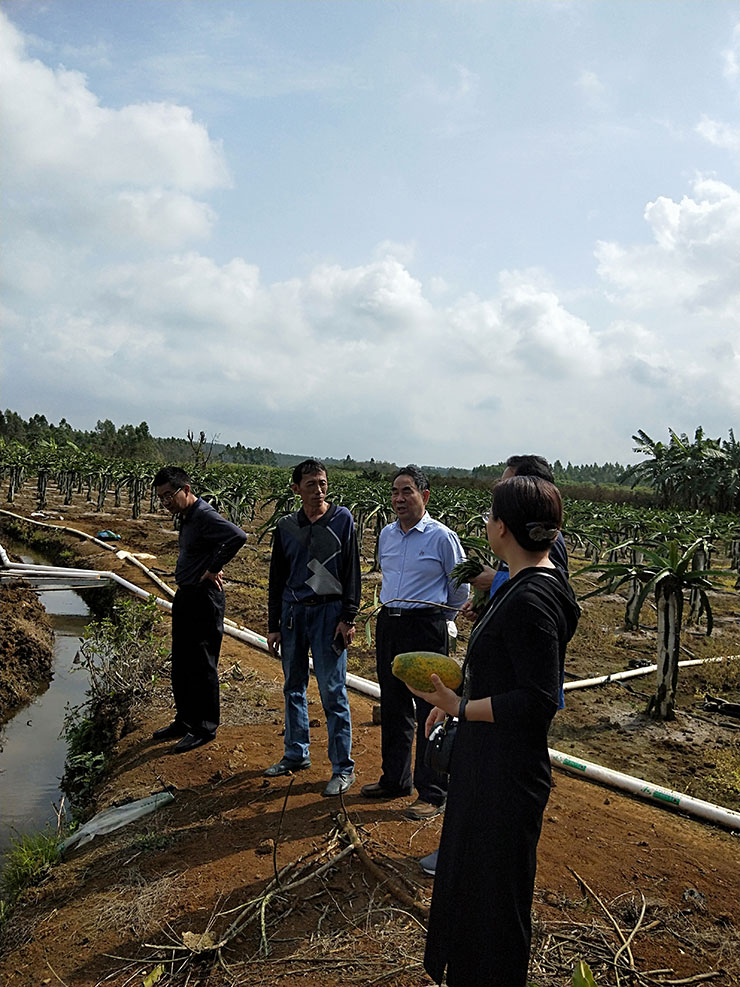 首页| PA视讯集团中国官方网站