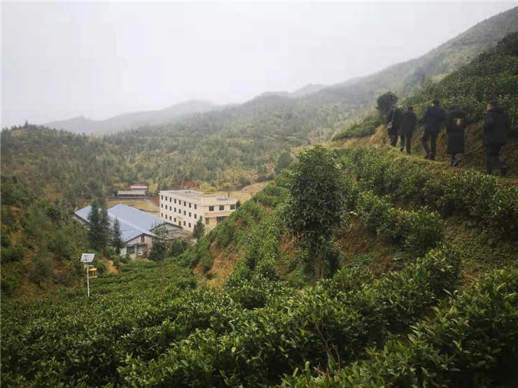 首页| PA视讯集团中国官方网站