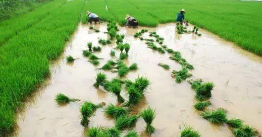 首页| PA视讯集团中国官方网站