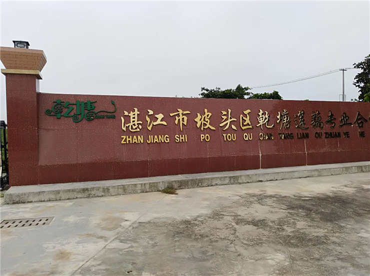 首页| PA视讯集团中国官方网站