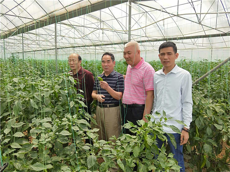 首页| PA视讯集团中国官方网站