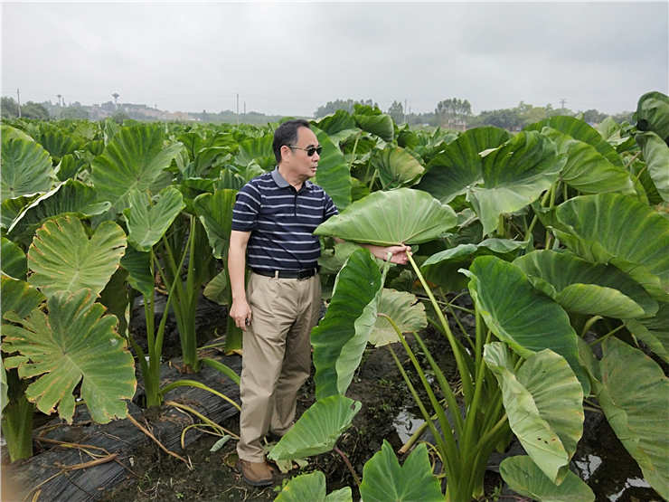 首页| PA视讯集团中国官方网站