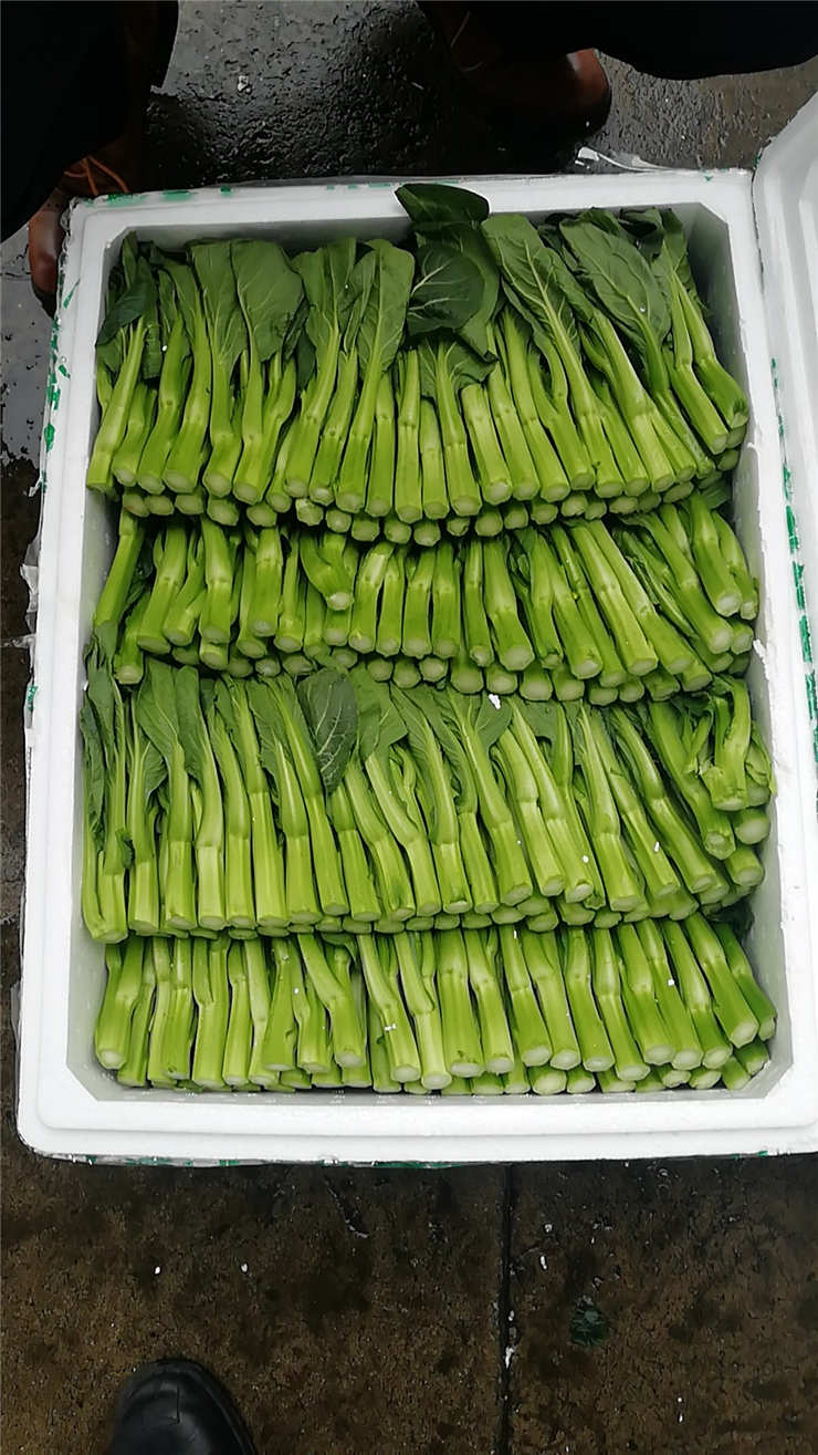 首页| PA视讯集团中国官方网站