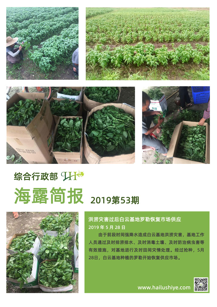 首页| PA视讯集团中国官方网站