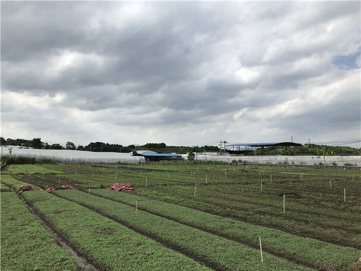 首页| PA视讯集团中国官方网站