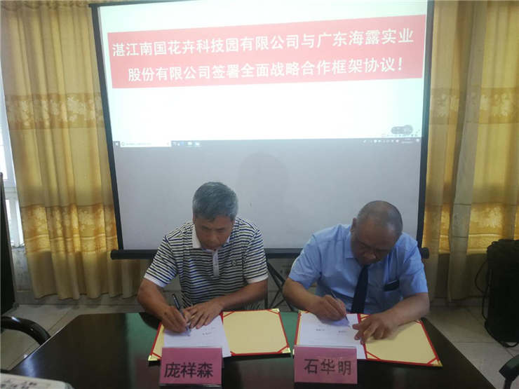 首页| PA视讯集团中国官方网站