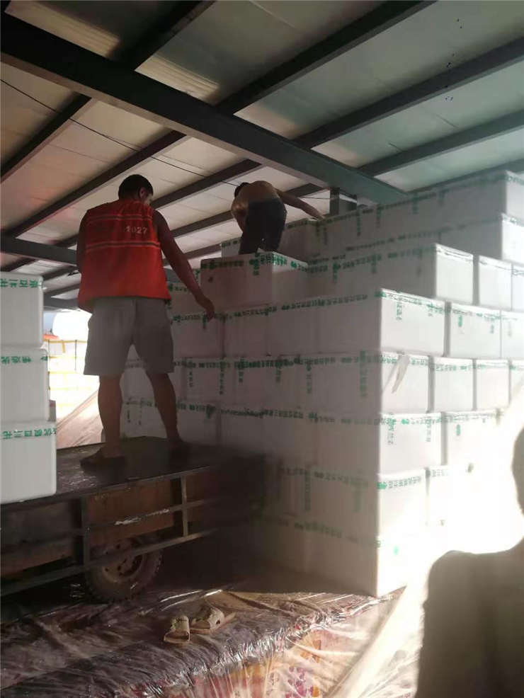 首页| PA视讯集团中国官方网站