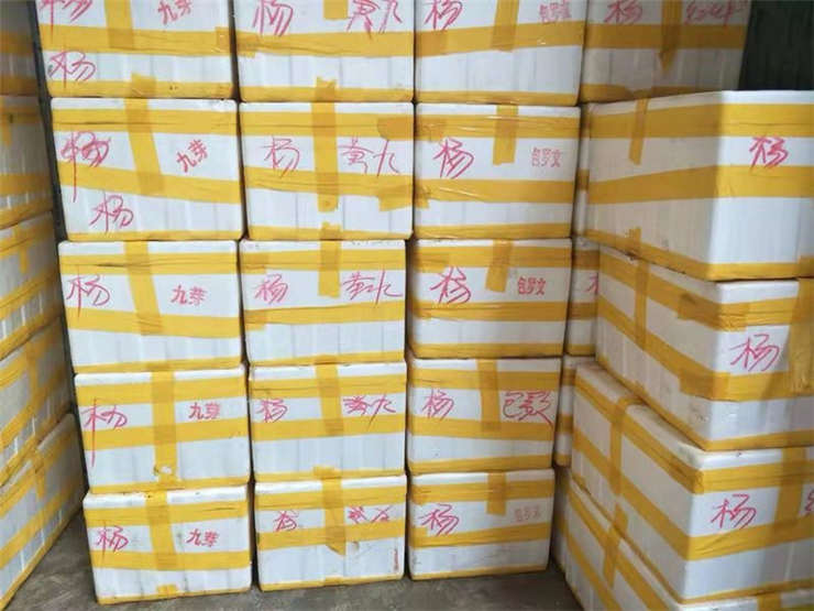 首页| PA视讯集团中国官方网站