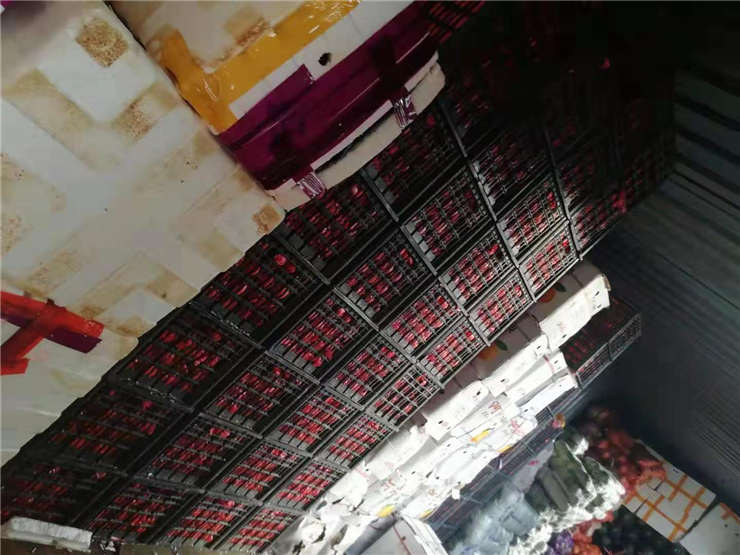 首页| PA视讯集团中国官方网站