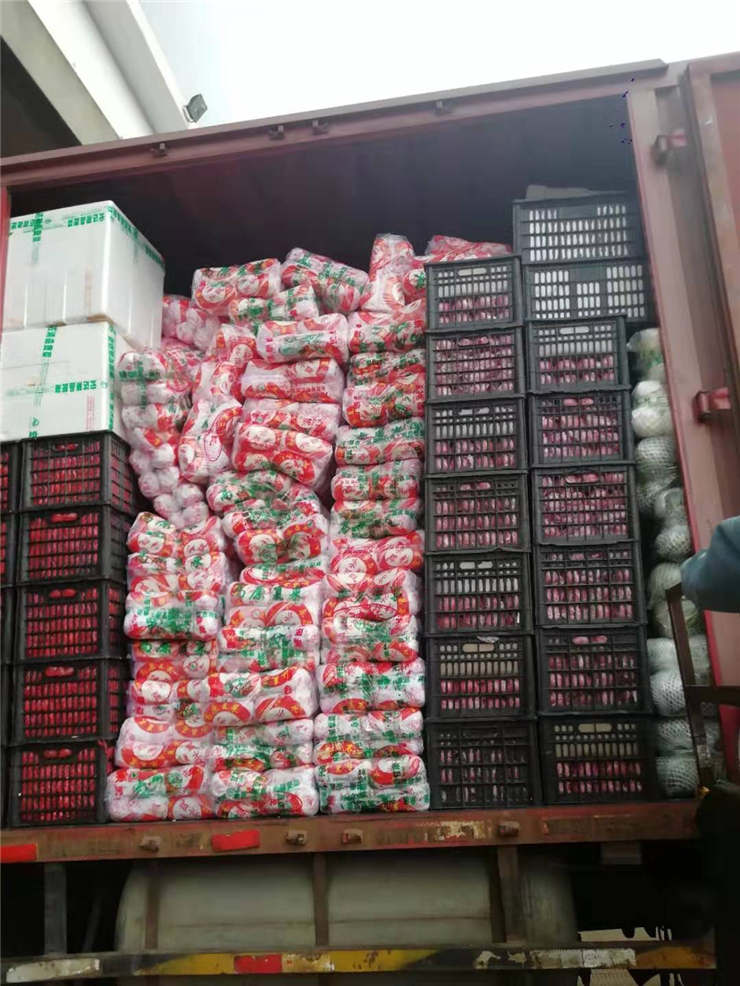 首页| PA视讯集团中国官方网站