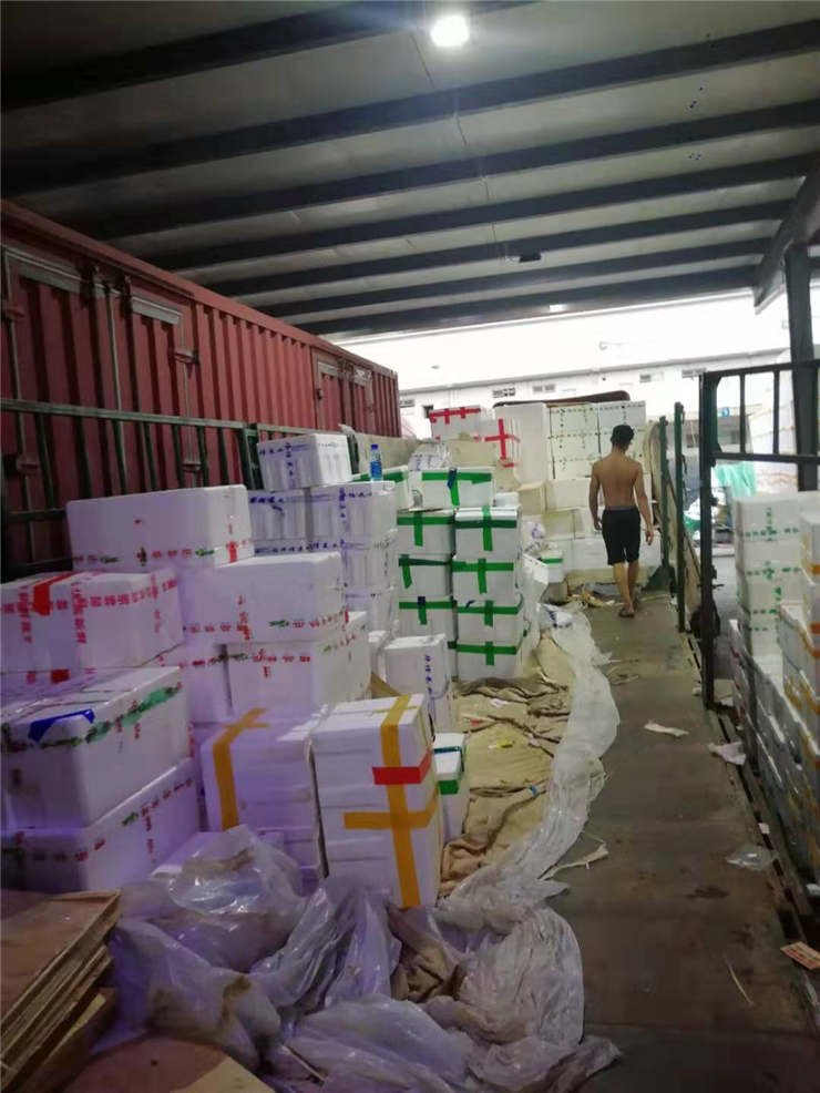 首页| PA视讯集团中国官方网站