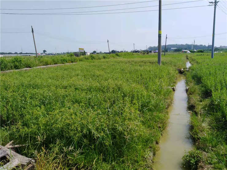 首页| PA视讯集团中国官方网站