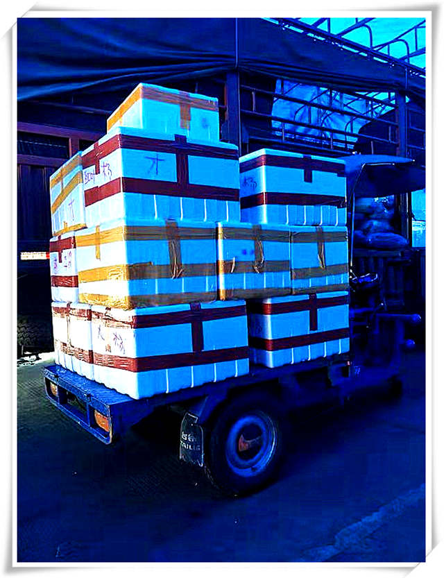 首页| PA视讯集团中国官方网站