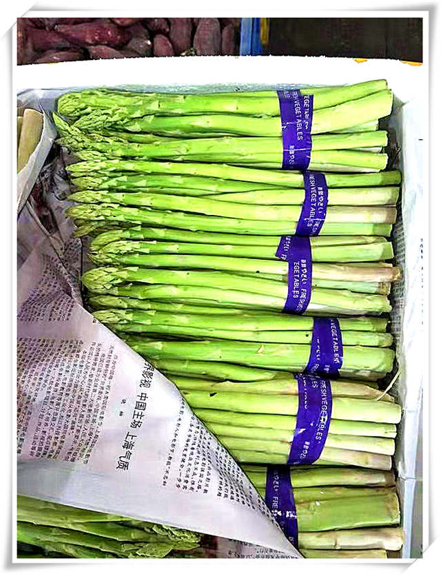 首页| PA视讯集团中国官方网站