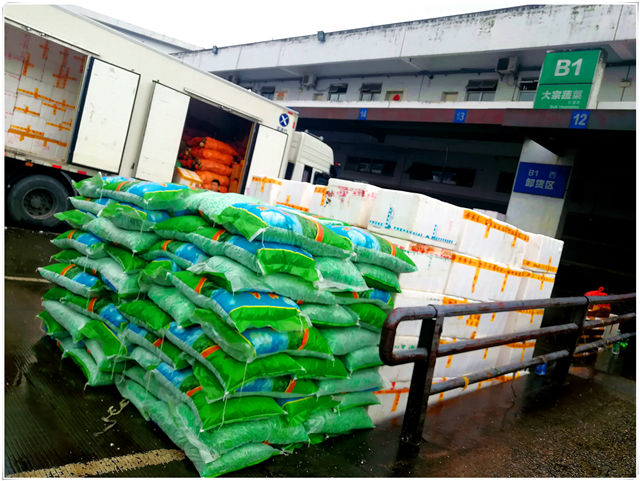 首页| PA视讯集团中国官方网站