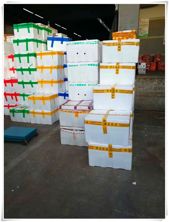 首页| PA视讯集团中国官方网站