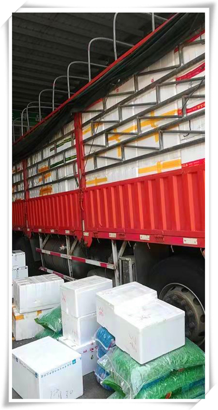 首页| PA视讯集团中国官方网站