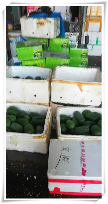 首页| PA视讯集团中国官方网站