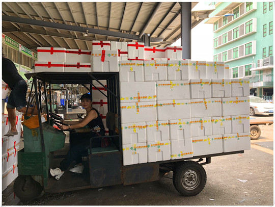 首页| PA视讯集团中国官方网站