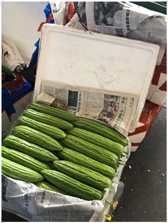 首页| PA视讯集团中国官方网站