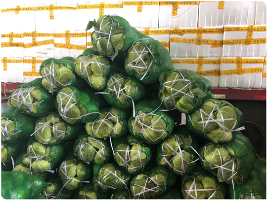 首页| PA视讯集团中国官方网站