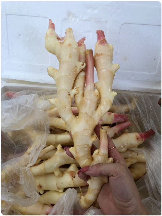 首页| PA视讯集团中国官方网站