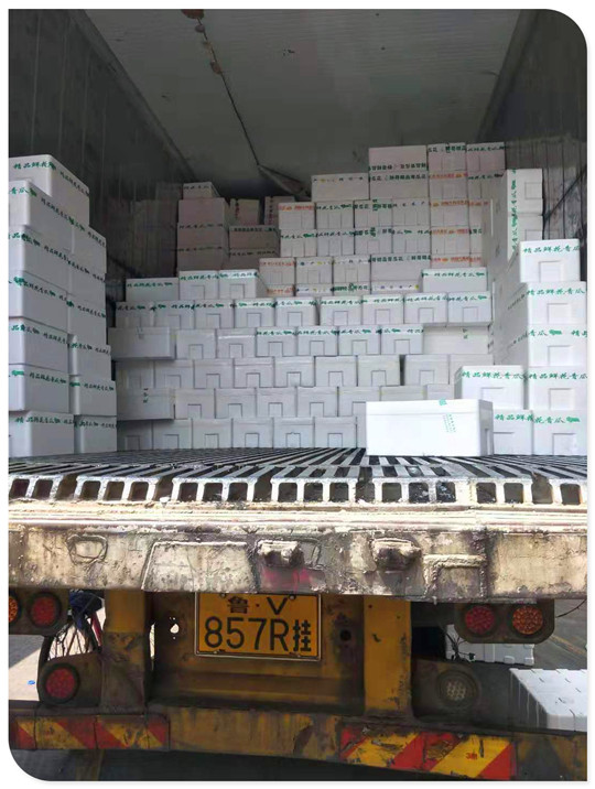 首页| PA视讯集团中国官方网站