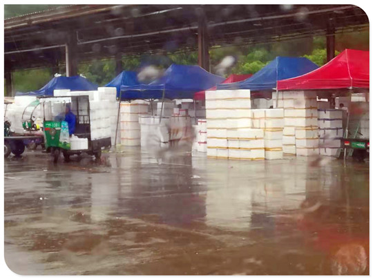 首页| PA视讯集团中国官方网站