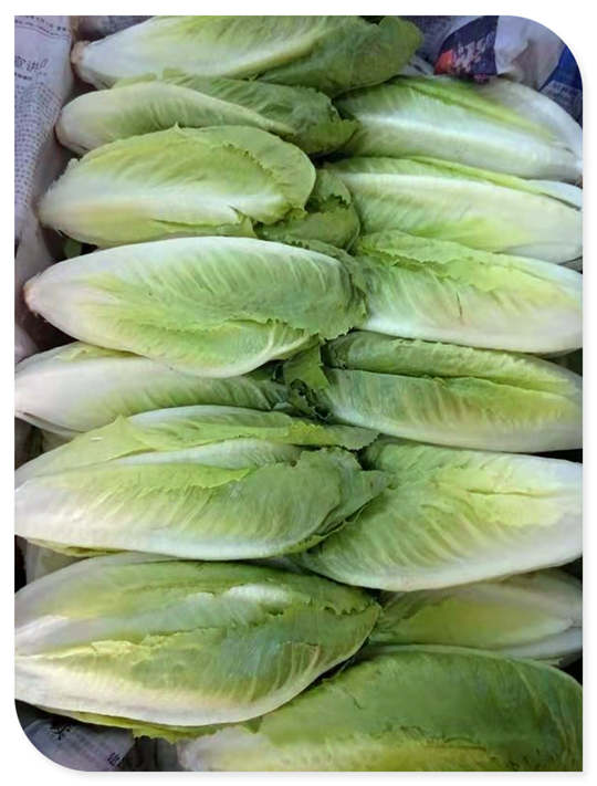 首页| PA视讯集团中国官方网站